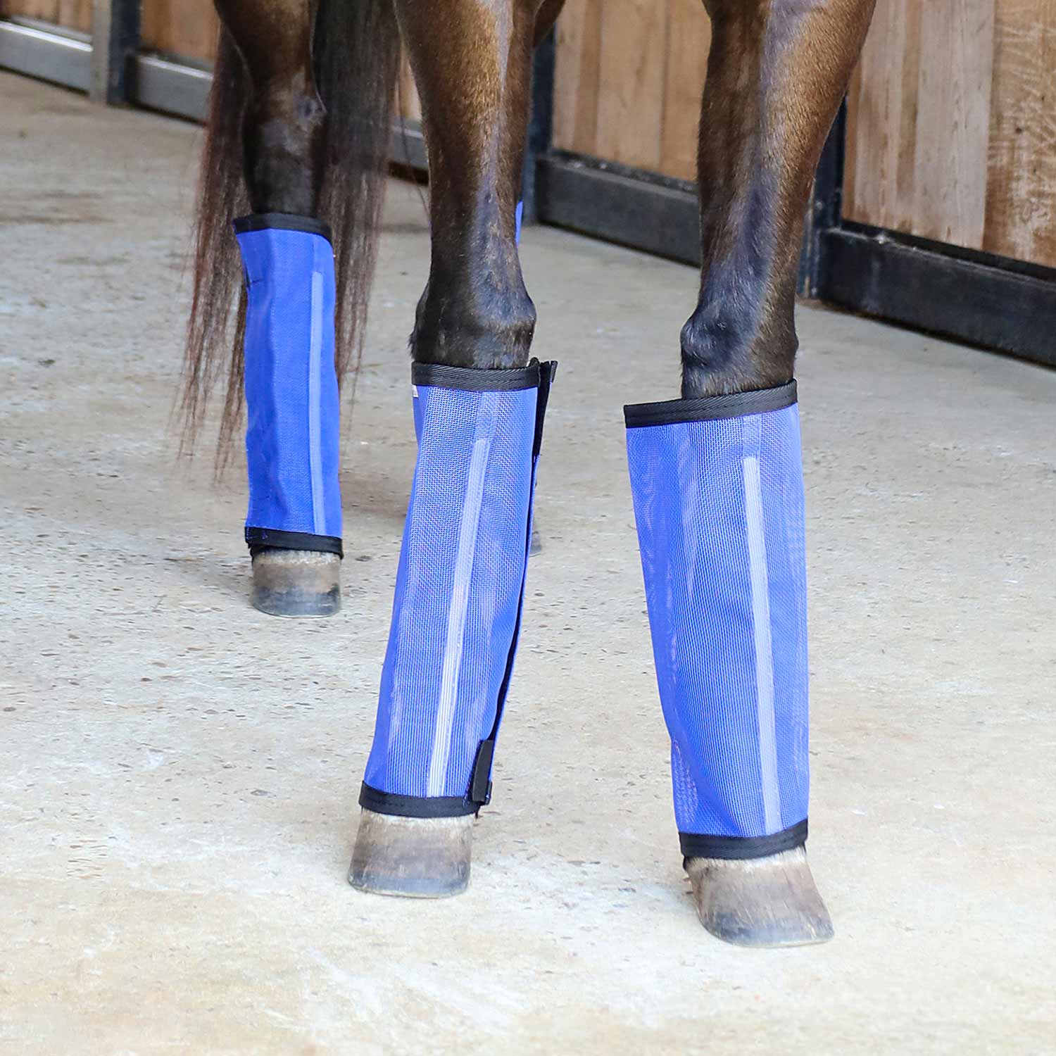 Jeffers Romper Stomper "Stomp-Free" Fly Boots for Horses, 4 pack